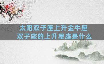 太阳双子座上升金牛座 双子座的上升星座是什么